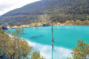 ����ѩɽ���¹���Һ����ɽ��