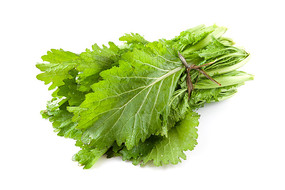 �ױ����ϵ�һ����ɫ�߲�