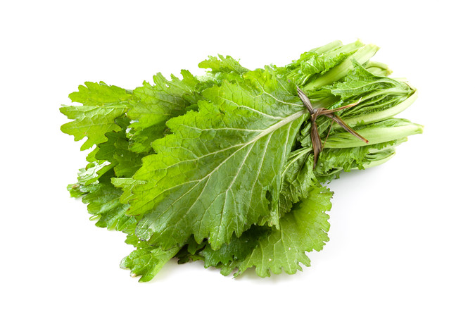 �ױ����ϵ�һ����ɫ�߲�