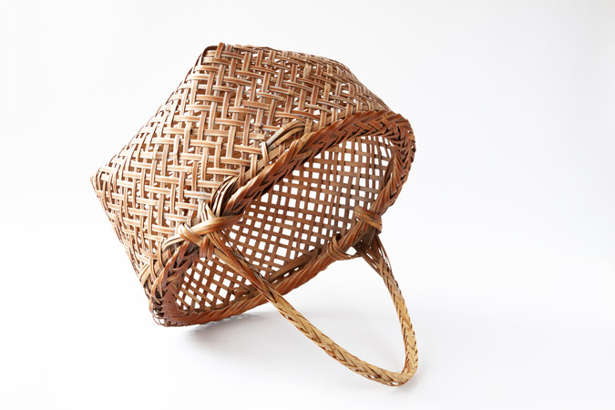 �ױ�����һֻ�յ�����