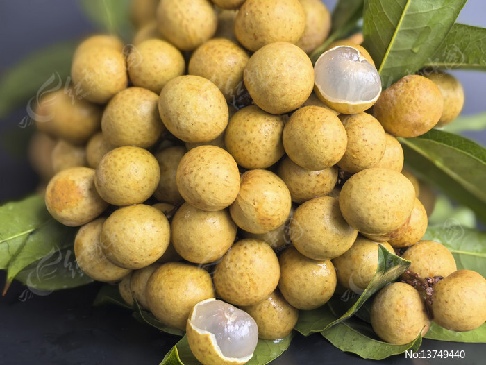 ��ժ��ԲͼƬ