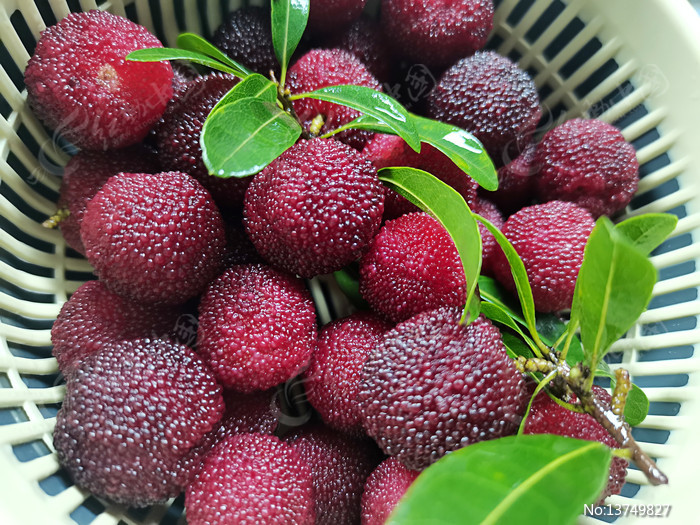 ������÷��Ƭ1ͼƬ