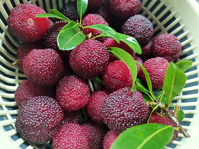 ������÷��Ƭ1