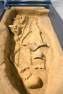 ����ͷ�Ķ���ַ�����ū���������ļ�Ĺ��