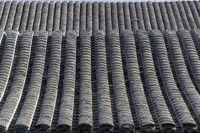 �Ž�����������ϸ��