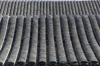 �Ž�����������ϸ��