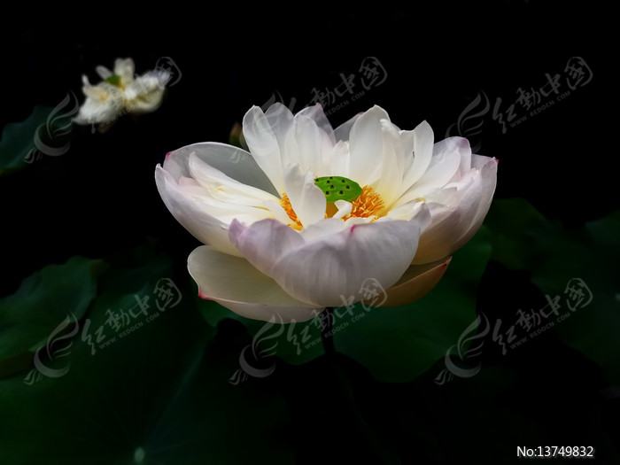 �ɻ���ӰͼƬ