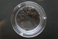 ������������ͷ�Ķ���ַ������Ĵ�̼������