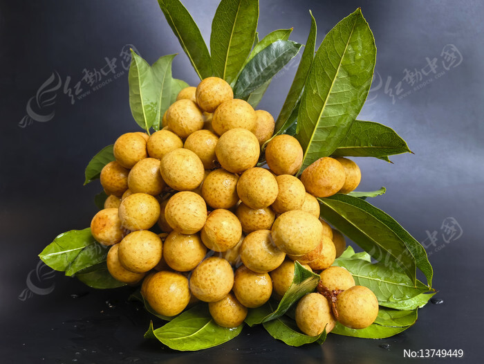 ������Ҷ�ʹ�ԲͼƬ