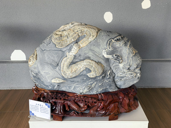 ��ɳ����ʯ ����Ϊ����ʯ 