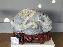 ��ɳ����ʯ ����Ϊ����ʯ 