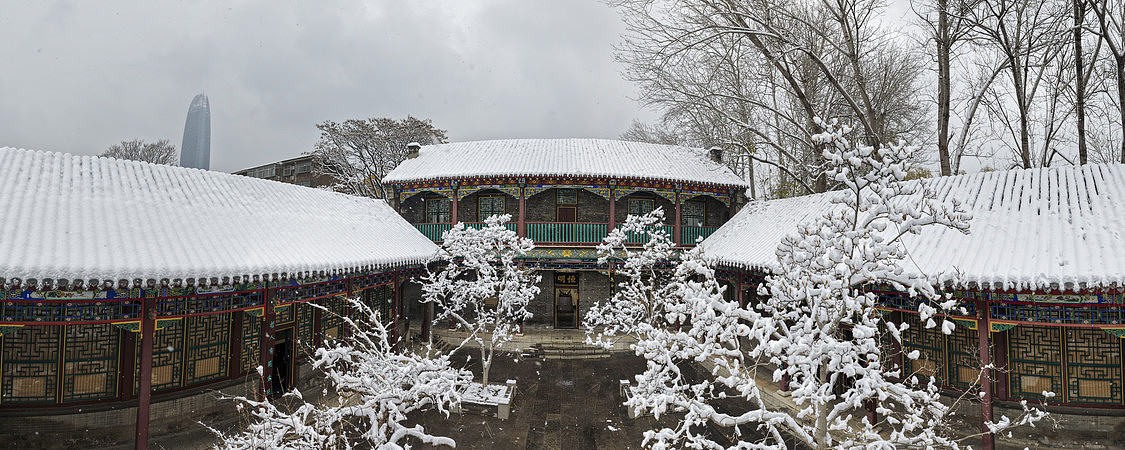 ����ѩ�д�ͳ�Ž�ͥԺȫ��