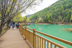 ���¹����º���ɽ��ľջ��