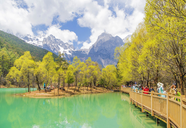 ���¹����º����Ӷ���ľջ��