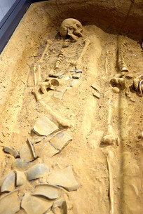 ��������ͷ��ַ ƽ������Ĺ��