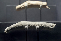 ���Ƕ�986���������ͷ�װ�