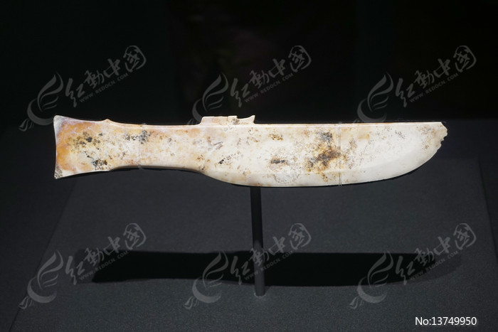 ���ǶѲ����2022�����ż���ӳ�����ͼƬ