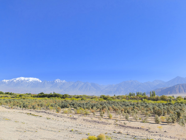 ɳĮ��������ɳ����