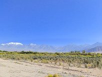 ɳĮ��������ɳ����