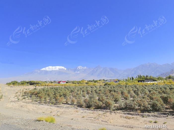 ɳĮ��ֲɳ����ͼƬ