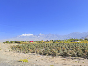 ɳĮ��ֲɳ����