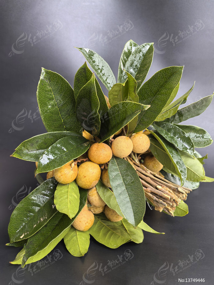 ���ʹ�ԲͼƬ