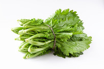 һ��Ӧ�����߲�