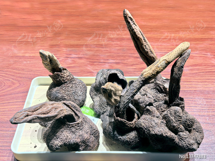 �����ز�������ͼƬ