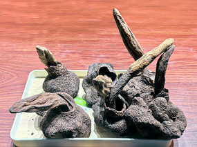 �����ز�������